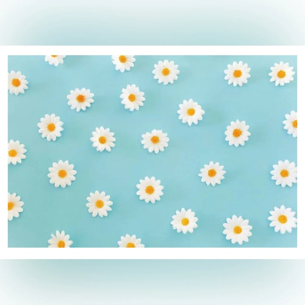 Daisy Flower Backdrop,3 x 5,for Photography White Floral Blue Photo Background